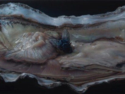 Cindy Wright
Black Pearl, 2015
oil on linen
47.24 x 90.55 inches
120 x 230 cm