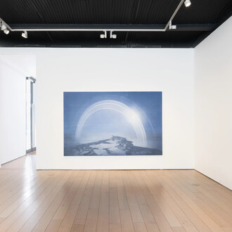 Theodora Allen, Oak, exhibition view. Courtesy of Paul Kasmin Gallery