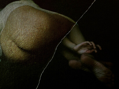 Mémoires. Courtesy of Galerie Thierry Bigaignon