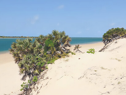 Immerse yourself in the tranquil beauty of Shela Beach in Lamu, Kenya, renowned for its soft sands and inviting waters, creating the perfect backdrop for unforgettable coastal experiences