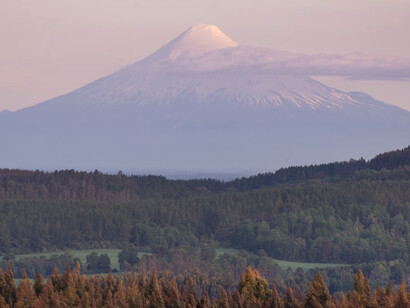 La agricultura también se organiza en tres sectores: el estatal, el privado y el reformado. Osorno, Chile