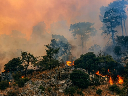 Forest fires intensified by climate change