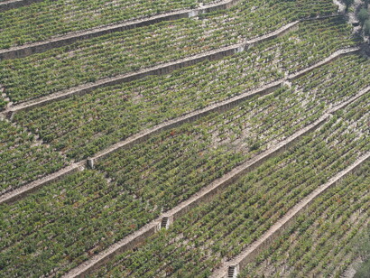 Alto Douro, vinhedos. Fotografia Sérgio Lira
