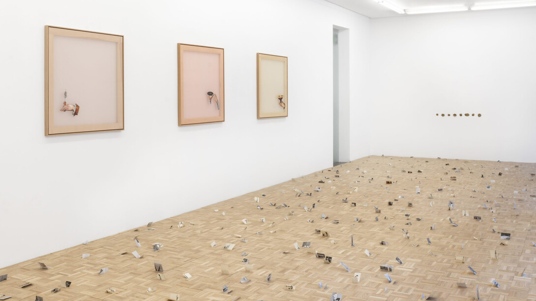 Clara Sánchez Sala, Del marfil al color hígado, vista de exhibición. Cortesía de la Galería NF/Nieves Fernández 