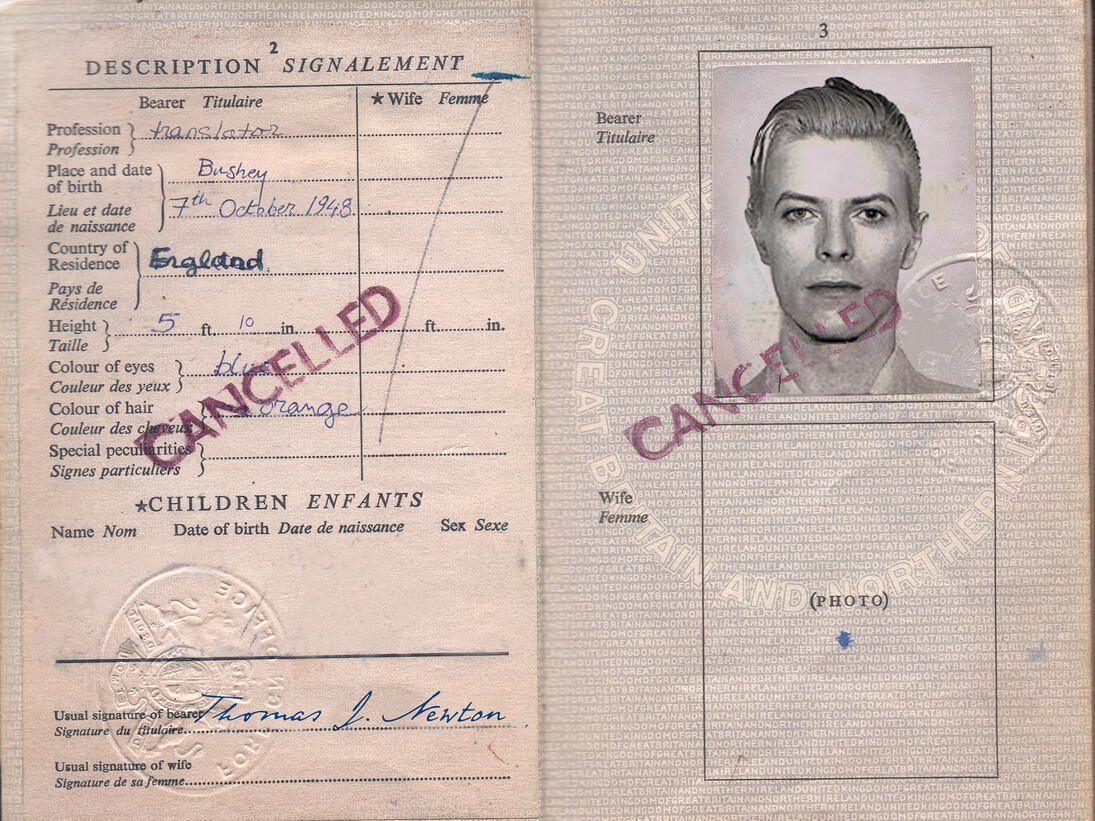 Vuk Vidor, TJ Newton Passport, Courtesy Galerie Magda Danysz