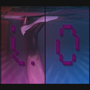 Elizabeth Price. Courtesy of Walker Art Center