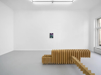 Leunora Salihu and Albrecht Schnider, A plant. A person. A life, exhibition view. Courtesy of Galerie Thomas Schulte