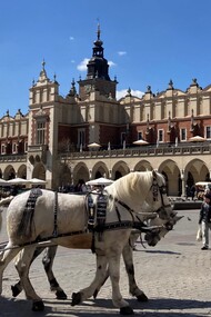 La Loggia dei Tessuti (Sukiennice) su Rynek Glówny una delle più belle piazze medievali d'Europa. Cracovia, Polonia. Foto di Flavius Roversi 