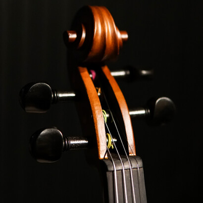 Detalle en perspectiva del mástil, clavijas y cuerdas de un violonchelo