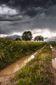 Maltempo e previsioni. Ogni volta che forti eventi metereologici devastano il nostro territorio, non solo la politica, ma anche la scienza finiscono sul banco degli imputati, come si è visto a maggio, in seguito all'alluvione dell’Emilia-Romagna, e in queste ultime settimane, dopo che la tempesta Ciaran ha flagellato l'Europa, dal Regno Unito fino all'Italia