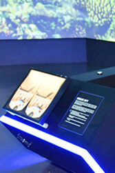 E3 - E-mmersive Experiential Environments. Courtesy of Science Centre