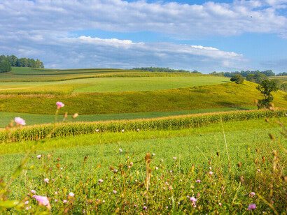 Un amplio paisaje agrícola de campos cultivados y cosechas