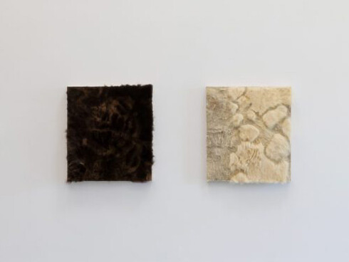 Various artists, Until the moon comes over the mountain, exhibition view. Courtesy of the Parrish Art Museum