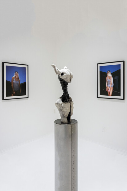 Serena Creciente, Delirio óseo, vista de exhibición. Cortesía de Galería Hilario Galguera