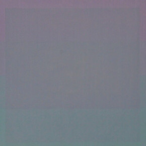 No Paintings. Courtesy of Nathalie Karg Gallery