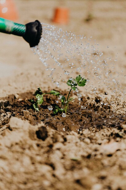 IoT in agriculture makes farming smarter, more efficient, and sustainable by connecting sensors, devices, and machinery to provide real-time insights and automation