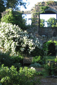 Biddulph Garden