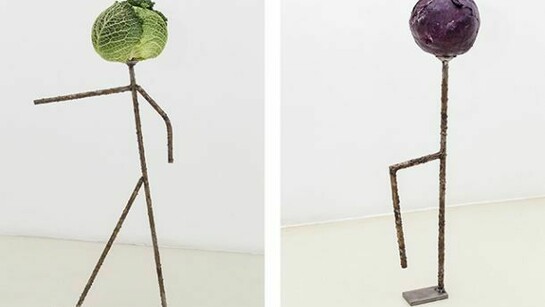 Luca Francesconi, Capo (capurale), 2014, accaio inox lavorato, ortaggi, Cafone, 2014, accaio inox lavorato, ortaggi, Courtesy Galleria Umberto Di Marino, Napoli, Italy