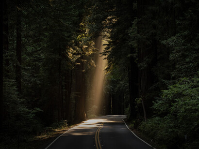 Los caminos dejan que los soñemos en nuestros ritos: que los soñemos en luminosa y silenciosa vigilia