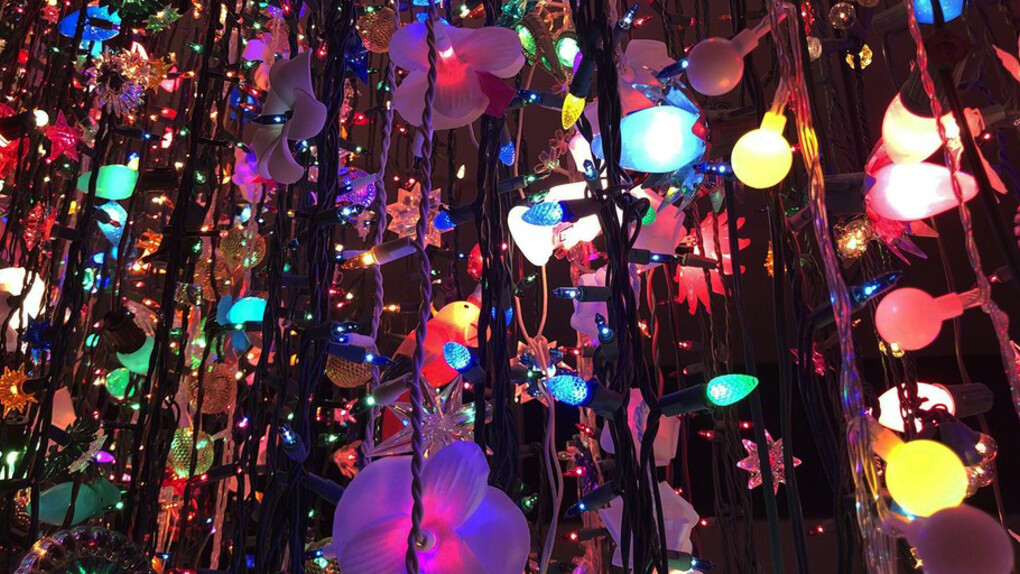 Carlos Betancourt. Courtesy of Primary