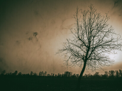 Crooked, foto Francesco Pala