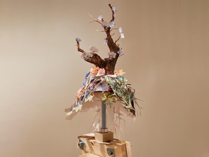 Gayle Chong Kwan, Forest Portraits 2018. Courtesy of Galleria Alberta Pane