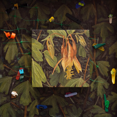 Jamie Bourgeois, (Possibility over peril) Eastern red Columbine, 2025. Courtesy of Spalding Nix Fine Art