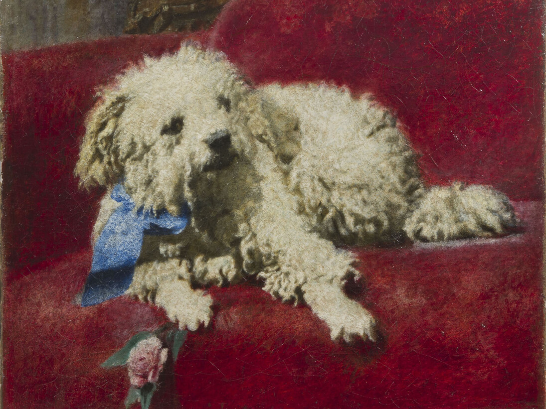 Daniele Ranzoni, Barboncino bianco, 1878-79, olio su tela 37 x 44 cm. Courtesy of Gallerie Maspes