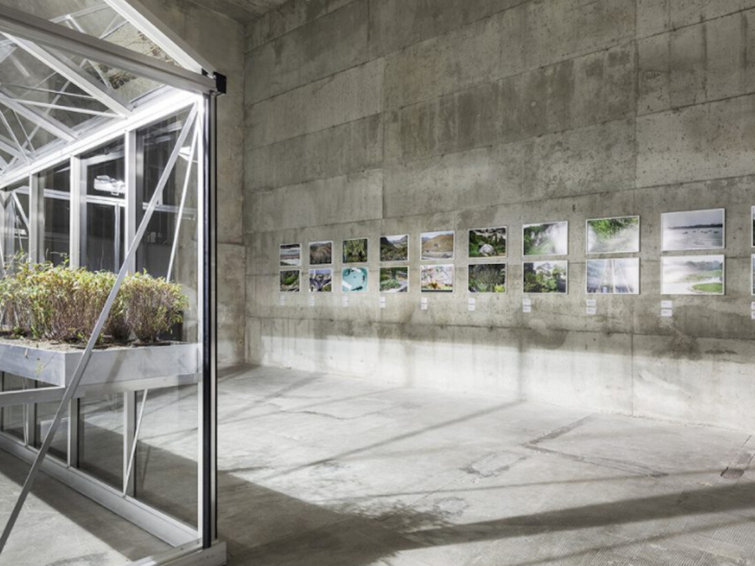 Extinct in the Wild, Exhibition view. Courtesy of Fondazione Prada