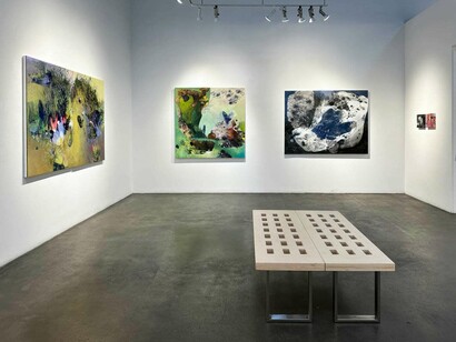 Shar Coulson, Lucid phantasies, exhibition view. Courtesy of Nüart Gallery