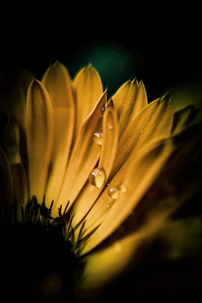 Las brujas nunca se fueron realmente. Estuvieron ahí, en cada mujer que se animó a soñar, a sanar y a transformar su vida