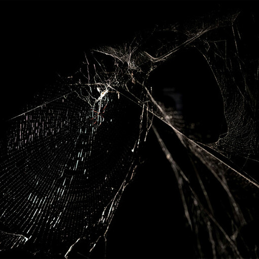 Teia de aranha. Para uma vertente que buscava sua própria identidade, uma maior inovação, Mojica foi um suspiro de liberdade e, ao mesmo tempo, um mergulho no submundo obscuro do cinema de horror