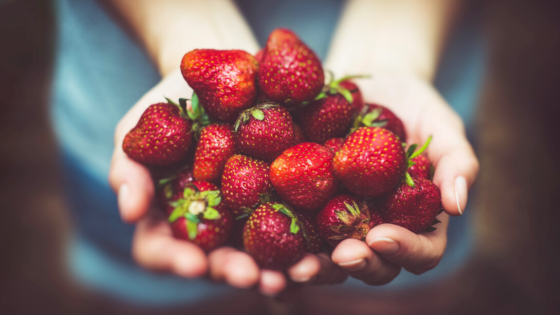 Las cuatro riquezas: Dharma, artha, kama y moksha