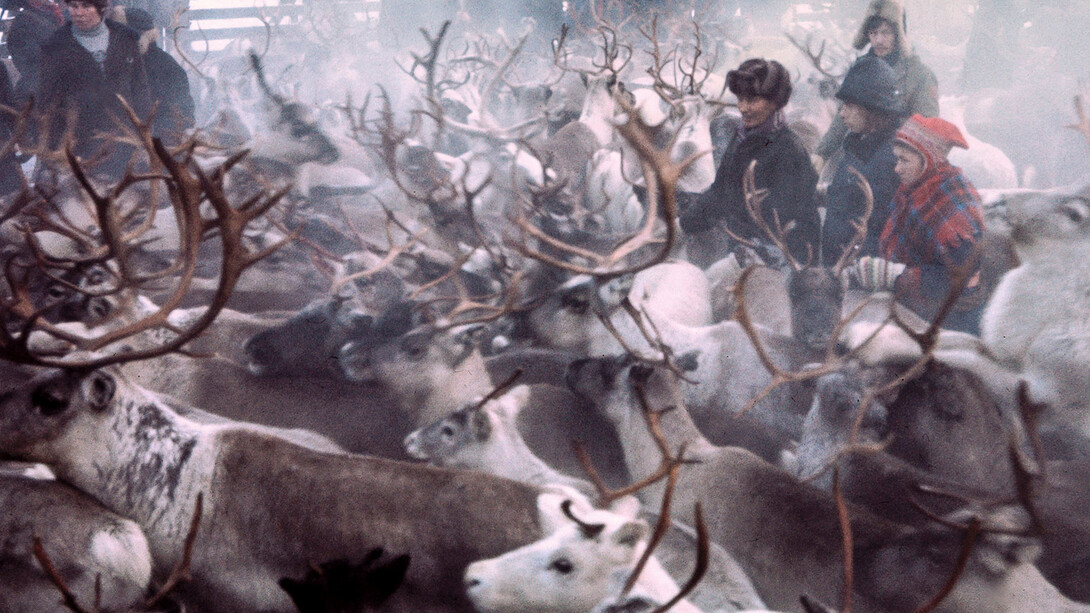 Northern Ways. Courtesy of Arktikum