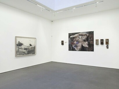 Ricardo Brey, Exhibition view. Courtesy of The Galerie Nathalie Obadia