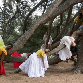 Carolina Caycedo, Apariciones/Apparitions, 2018. Courtesy of the artist, Commonwealth, Whitechapel Gallery, Council (Los Angeles) and Instituto de Visión (Bogotá/NYC)