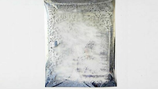 Carrie Yamaoka, wall. 154 degrees SE 220 36 street, 2014, mixed media on reflective mylar, 23 x 19 inches, 58.4 x 48.3 cm