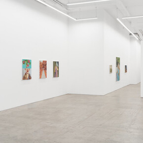 Janet Werner, Landscape with legs, exhibition view. Courtesy of Anat Ebgi 