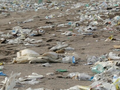 Plastica disseminata sulla battigia