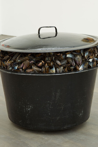 .Broodthaerskabinet. Courtesy of S.M.A.K