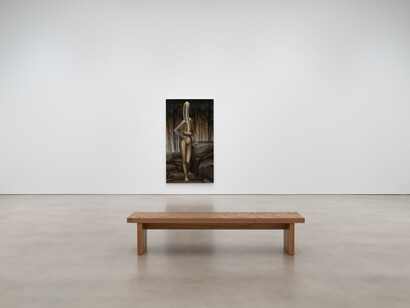 Emily Mae Smith, Transit of Venus, exhibition view. Courtesy of Petzel Gallery
