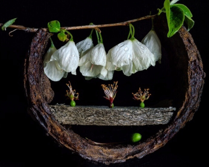 From the Ground Up. Courtesy of Soho Photo Gallery