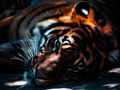 Grit has a lot to do with perseverance