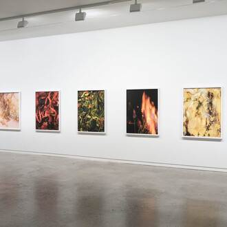 Ann Shelton, i am an old phenomenon, exhibition view. Courtesy of Two Rooms