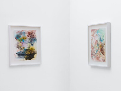 Melanie Authier, Liminal reveries, exhibition view. Courtesy of Andrew Rafacz 