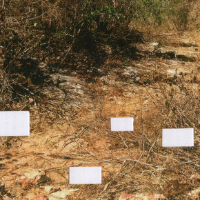 Postcards from Brazil. Courtesy of Casa Nova Arte e Cultura Contemporanea