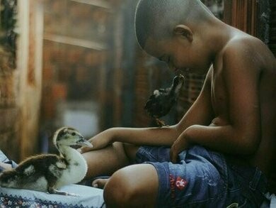 Menino brinca com patinhos. Eu declaro que minha felicidade vem das pequenas coisas que eu vivo e das grandes também, sou feliz mesmo pelo que eu posso me proporcionar, dentro de minhas possibilidades