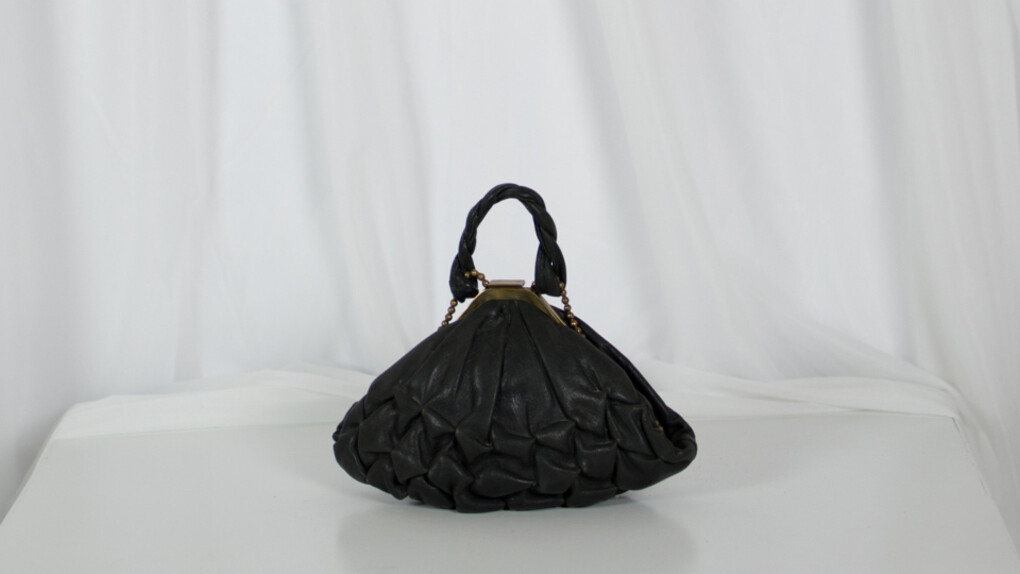 La vita in una borsa: meravigliosa storia di Alberta D. Courtesy of ABC