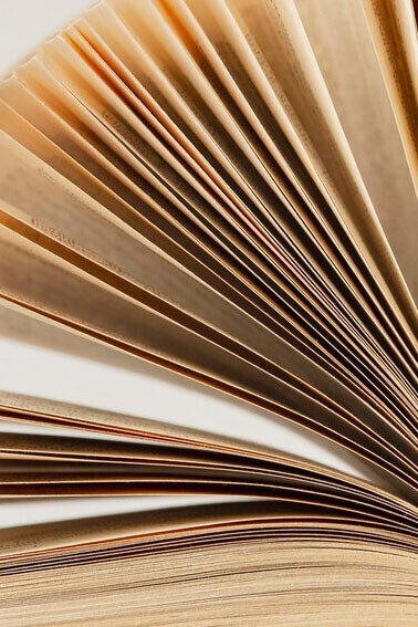 El filósofo como el científico se pueden extraviar, lo que resulta inseparable de la dignidad de todo concebir