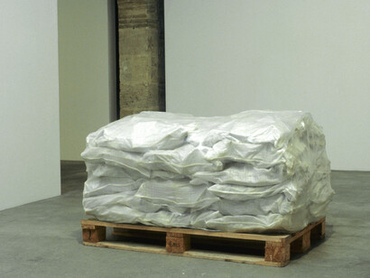 Toujours. Courtesy of Museo Amparo 